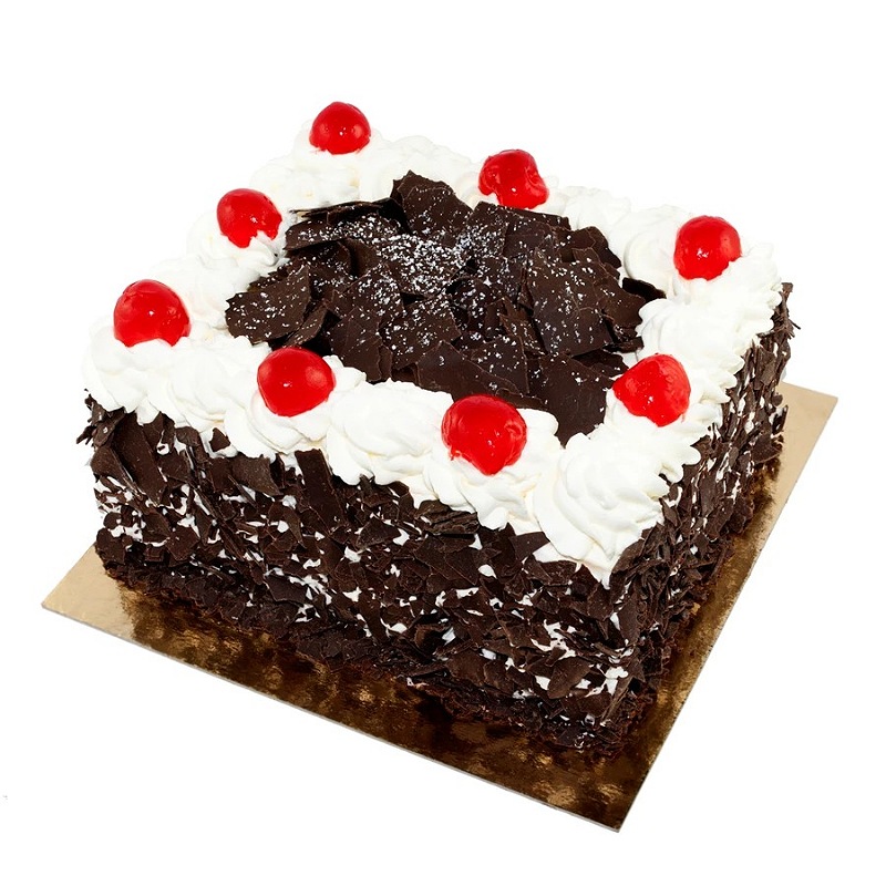 Blackforest Square Shape Delight