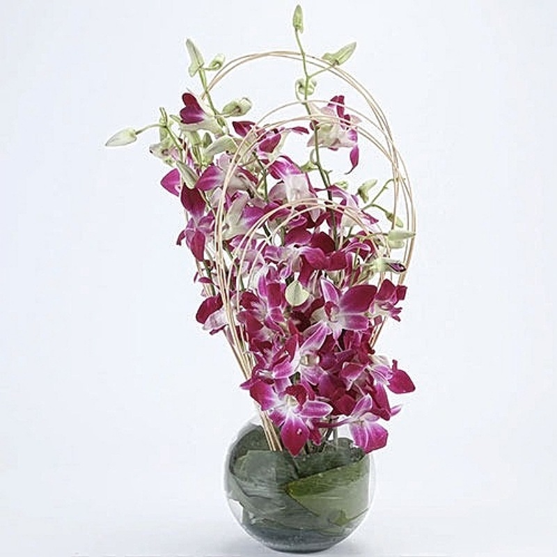 Vase of Purple Orchids