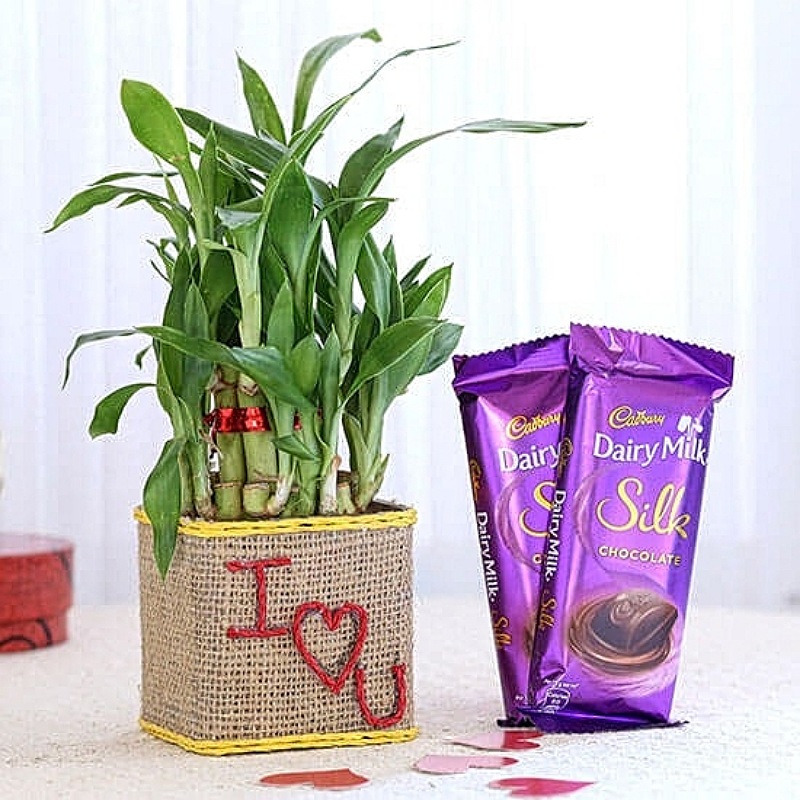 Love You Bamboo Plant N Chocolates