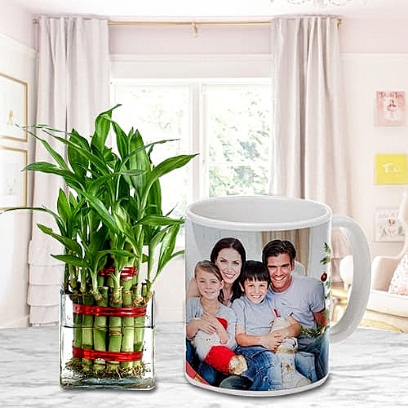 Charming Lucky Bamboo With Mug