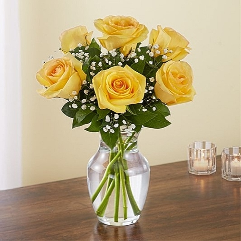 Enchanting Yellow Roses