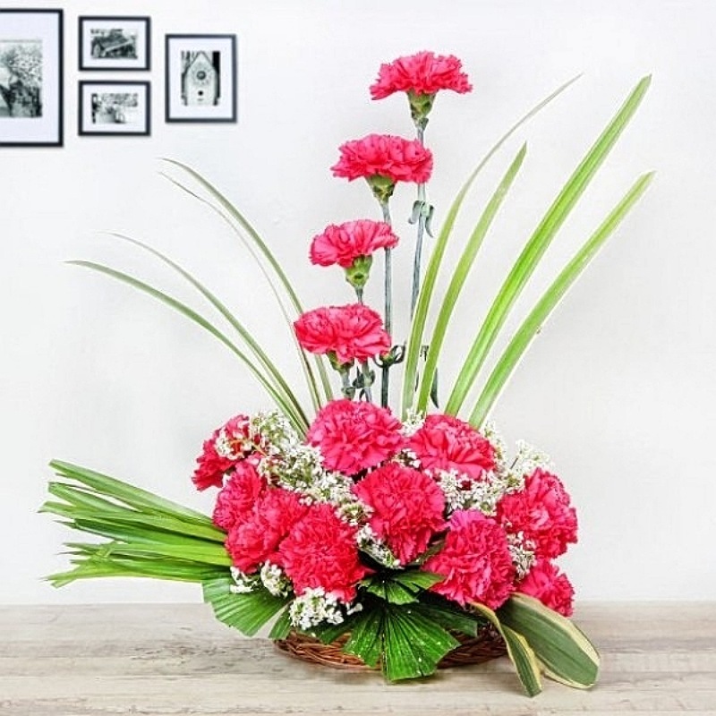 Romantic Carnations