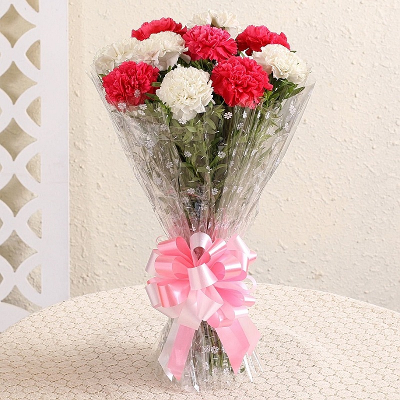 Red N White Carnations