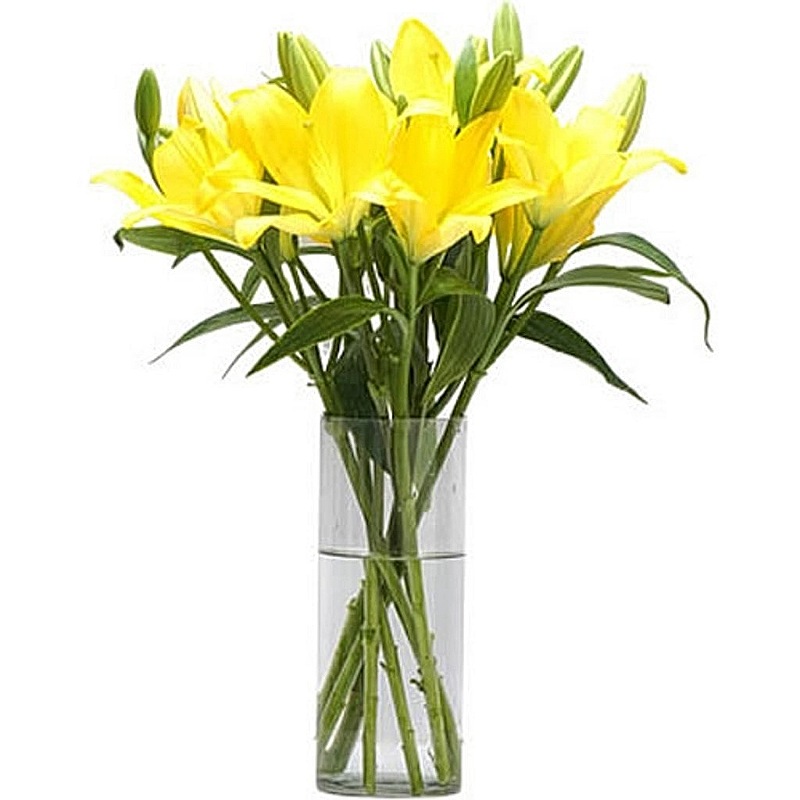 Sunny Yellow Lilies