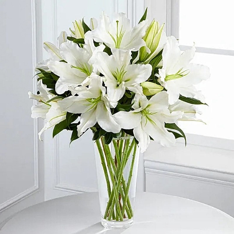 Spirited Grace Lilies