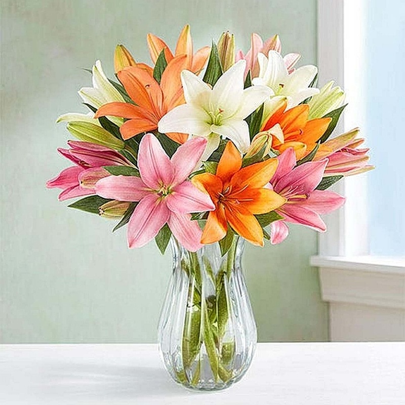 Lilies Love