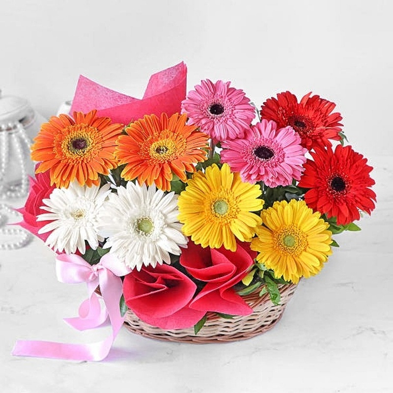 Mixed Gerberas Basket