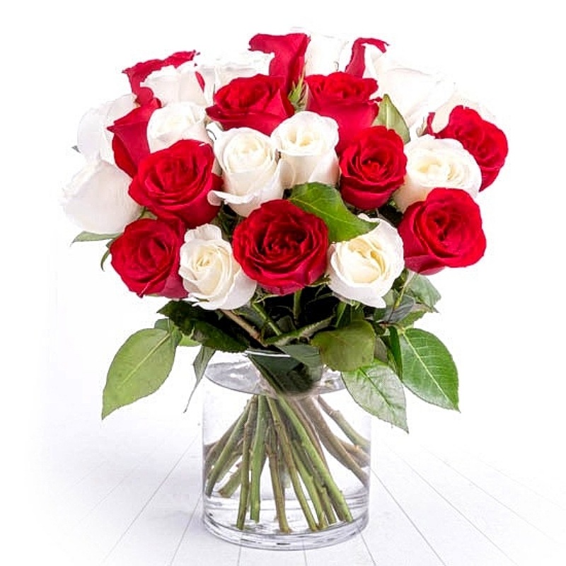 Magnificent Roses In Vase