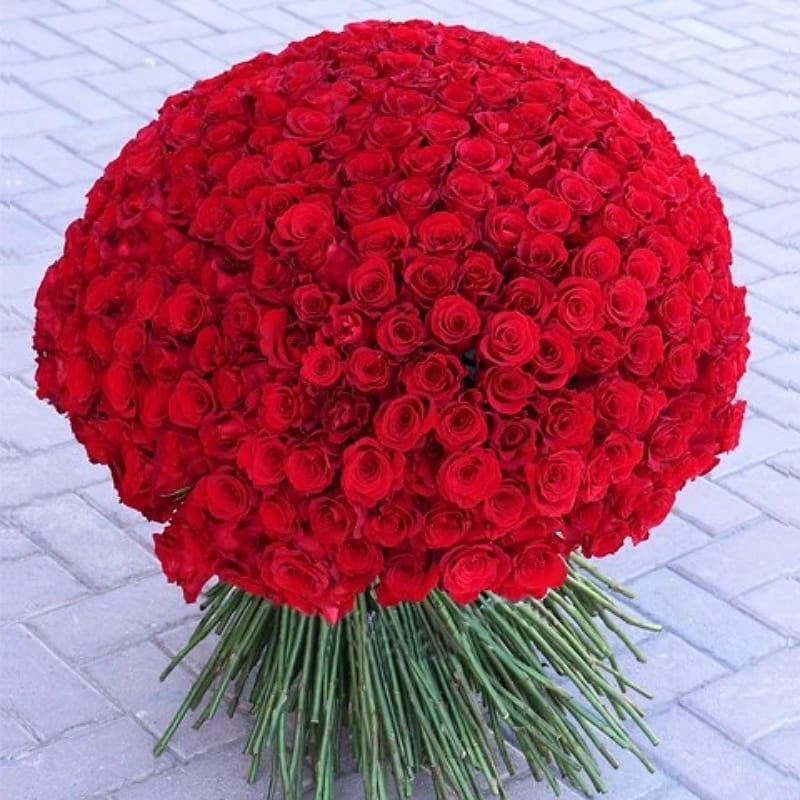 300 Red Roses Bouquet